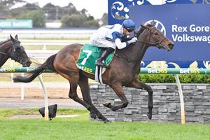 O'BRIEN FILLY SERVES VRC OAKS NOTICE